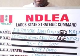 NDLEA arrest prophet for drug scandal