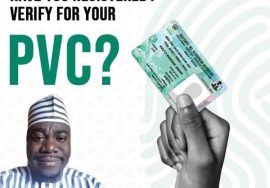 Ayegun voters campaign